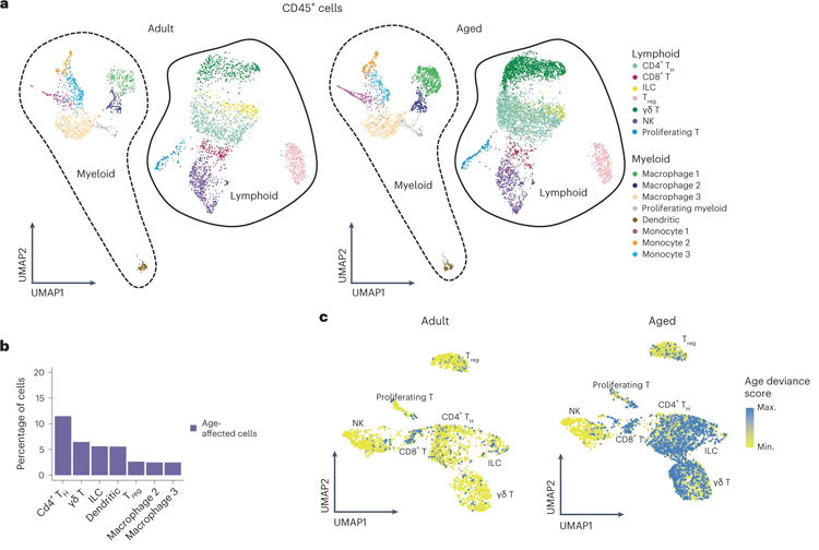淋巴免疫細(xì)胞亞群顯示IL-17A/F相關(guān)信號(hào)傳導(dǎo)增加