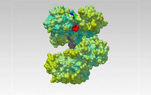 Nature解開(kāi)一種蛋白質(zhì)，研發(fā)一種新的生物技術(shù)工具