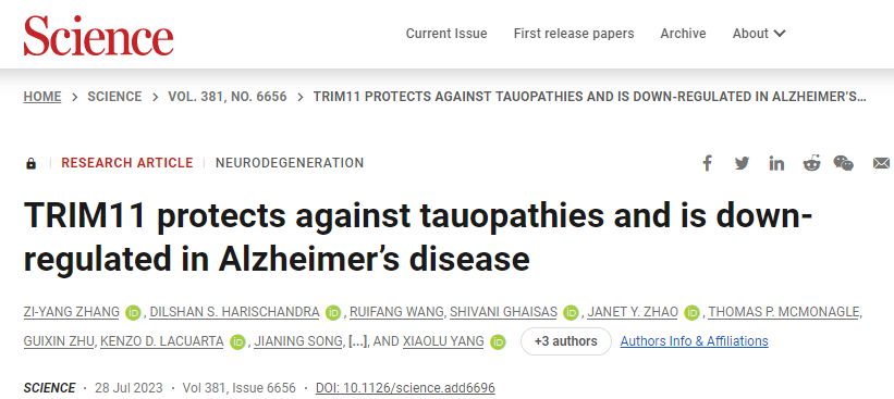 使用堿基編輯技術生成嵌合抗原受體(CAR) T細胞 使用堿基編輯技術生成嵌合抗原受體(CAR) T細胞