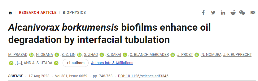 研究揭示了特殊細(xì)菌如何優(yōu)化油的生物降解和消耗