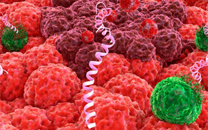 養(yǎng)殖業(yè)“替抗”破局利刃？--抑菌肽