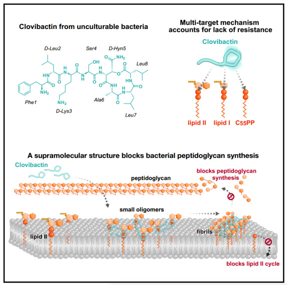機理模式圖 機理模式圖)