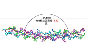高活性重組Ⅲ型人源化膠原蛋白