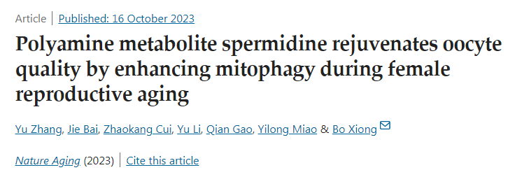 多胺代謝產(chǎn)物亞精胺在女性生殖衰老過程中通過增強線粒體自噬使卵母細胞質(zhì)量恢復(fù)活力