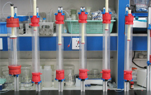 層析介質(zhì)在疫苗純化中的應(yīng)用