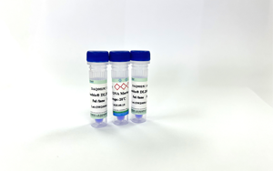 高質(zhì)量DNA Ladder