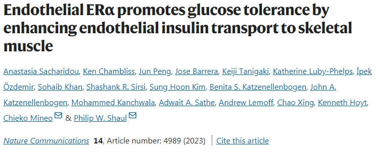 ERα通過加強(qiáng)內(nèi)皮胰島素向骨骼肌的轉(zhuǎn)運(yùn)改善葡萄糖耐受