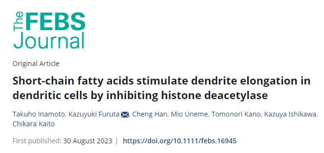 腸道細(xì)菌產(chǎn)生的短鏈脂肪酸(SCFAs)負(fù)責(zé)啟動(dòng)樹突細(xì)胞向腸腔延伸 腸道細(xì)菌產(chǎn)生的短鏈脂肪酸(SCFAs)負(fù)責(zé)啟動(dòng)樹突細(xì)胞向腸腔延伸