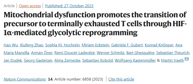 線粒體功能障礙通過(guò)HIF-1α介導(dǎo)的糖酵解重編程促進(jìn)前體向最終衰竭的T細(xì)胞的轉(zhuǎn)變