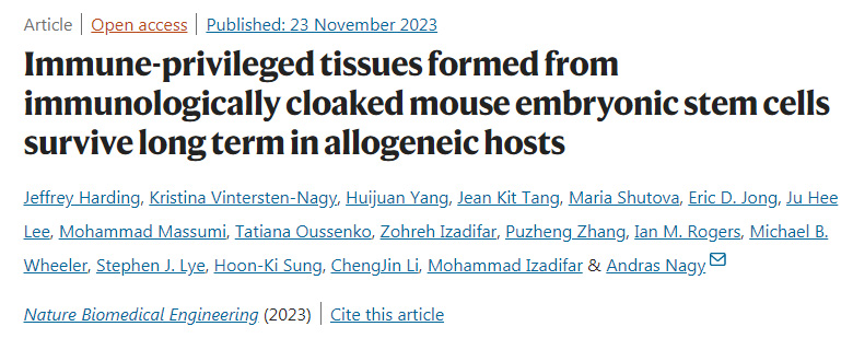 免疫隱形小鼠胚胎干細胞形成的免疫特權(quán)組織在異基因宿主中長期存活