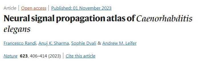 秀麗隱桿線蟲(chóng)的神經(jīng)信號(hào)傳播圖譜