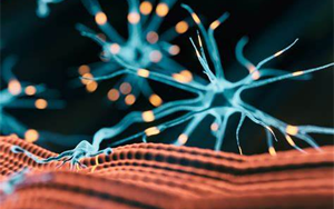 研究發(fā)現(xiàn)，鈣通道阻滯劑是逆轉(zhuǎn)肌強(qiáng)直性營(yíng)養(yǎng)不良肌肉無(wú)力的關(guān)鍵