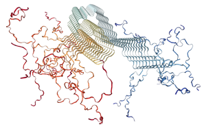 PNAS：一種新的檢測(cè)方法有望早期發(fā)現(xiàn)帕金森病