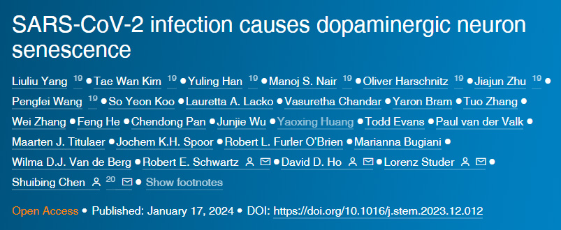 可溶性多價(jià)Jag1DNA折疊納米模板在沒有外力作用下激活細(xì)胞受體Notc