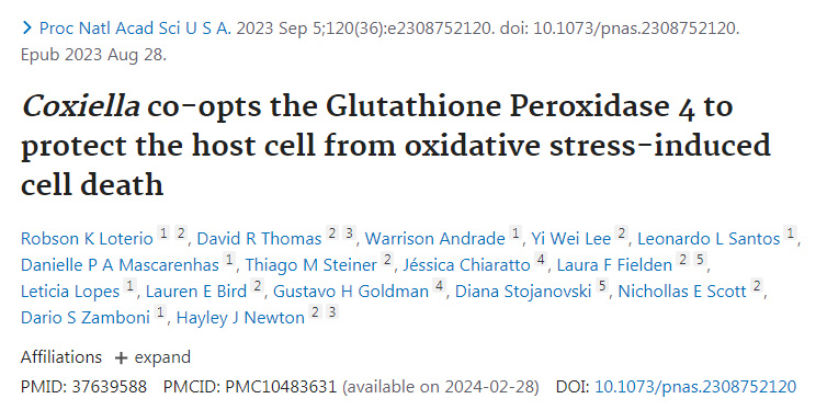 Coxiella產(chǎn)生的谷胱甘肽過氧化物酶4保護宿主細胞免受氧化應激誘導的細胞凋亡