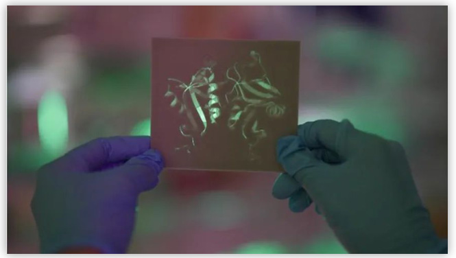 DECTIN-1蛋白質結構的3D打印