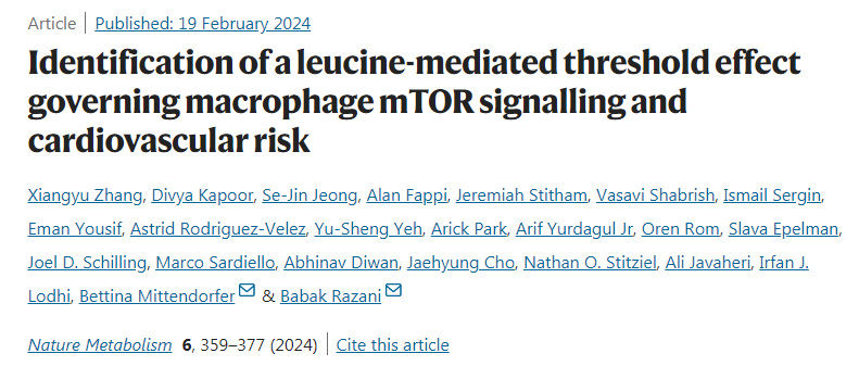 鑒別亮氨酸介導(dǎo)的控制巨噬細(xì)胞mTOR信號(hào)傳導(dǎo)和心血管風(fēng)險(xiǎn)的閾值效應(yīng)