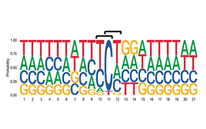 6次入院治療！連漫威英雄“金剛狼”都畏懼的這種癌癥，到底因何而起？
