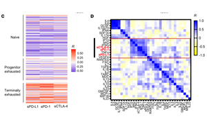 血液中可溶性免疫檢查點(diǎn)因子作為ICI癌癥免疫治療和評(píng)估T細(xì)胞衰竭治療效果的潛在生物標(biāo)志物
