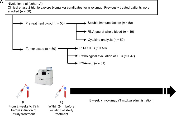 研究中包括的患者隊列和分析概述