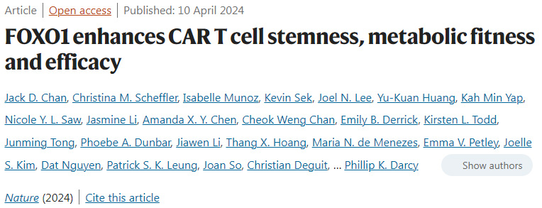 發(fā)育中的哺乳動物大腦皮層中的多個平行細(xì)胞系