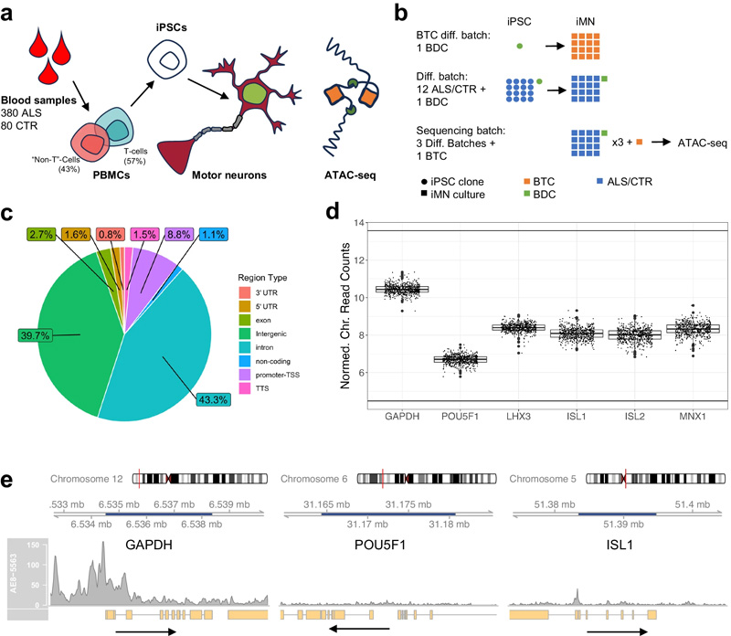 應答ALS ATAC序列數(shù)據(jù) 應答ALS ATAC序列數(shù)據(jù)