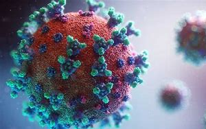 5天治愈90%重癥？減少70%新冠病毒感染？治療新冠特效藥怎么區(qū)分