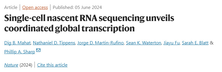 單細(xì)胞新生RNA測(cè)序揭示協(xié)調(diào)的全球轉(zhuǎn)錄 單細(xì)胞新生RNA測(cè)序揭示協(xié)調(diào)的全球轉(zhuǎn)錄