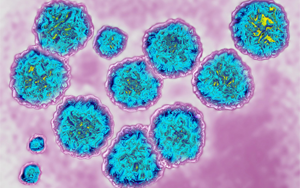 病毒吸收宿主RNA，急性感染可變慢性感染