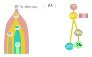 Nature Biotechnology：精確測(cè)量癌癥的進(jìn)化，定義分析腫瘤基因組成的最佳算法