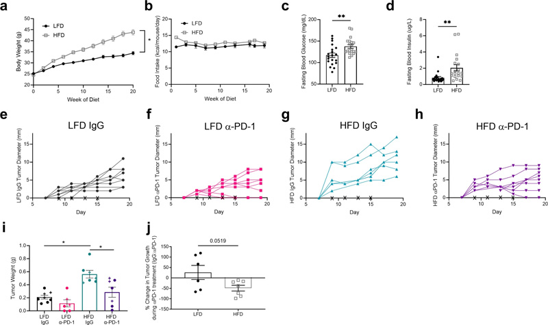 高脂肪飲食喂養(yǎng)誘導(dǎo)肥胖表型