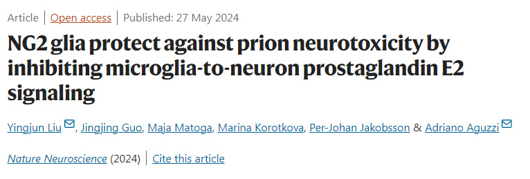 NLRC5感知NAD+損耗形成泛視小體并驅(qū)動(dòng)泛視癥和炎癥 NLRC5感知NAD+損耗形成泛視小體并驅(qū)動(dòng)泛視癥和炎癥