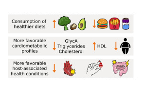 Cell：打破認知！這種腸道生物不僅對人體無害，而且有助于健康