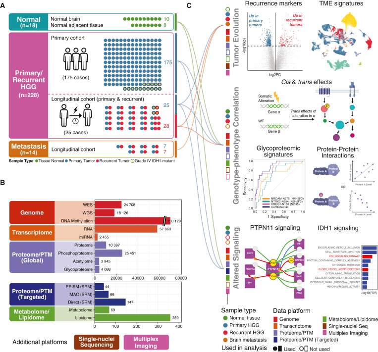 研究對(duì)象、技術(shù)平臺(tái)和檢測(cè)概述