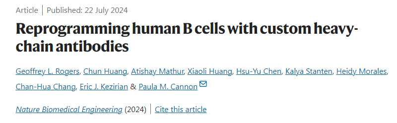 用定制的重鏈抗體重新編程人類B細(xì)胞