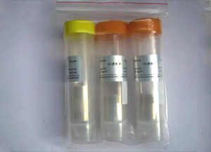 經(jīng)濟(jì)型透析袋，RC膜，14 KD，扁平寬度77 mm