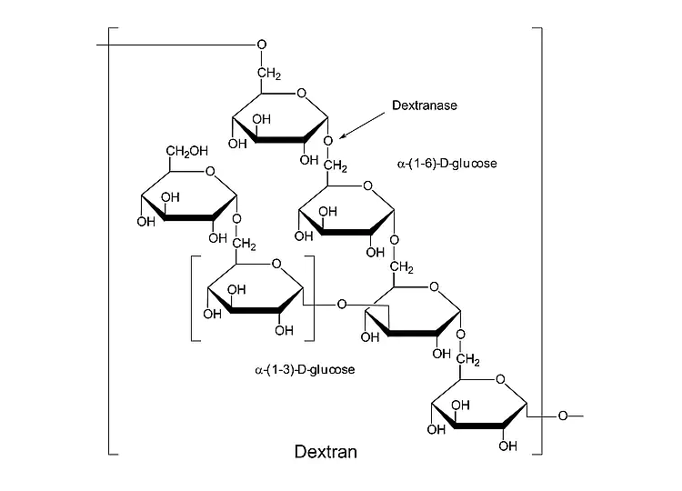 右旋糖酐40 右旋糖酐40