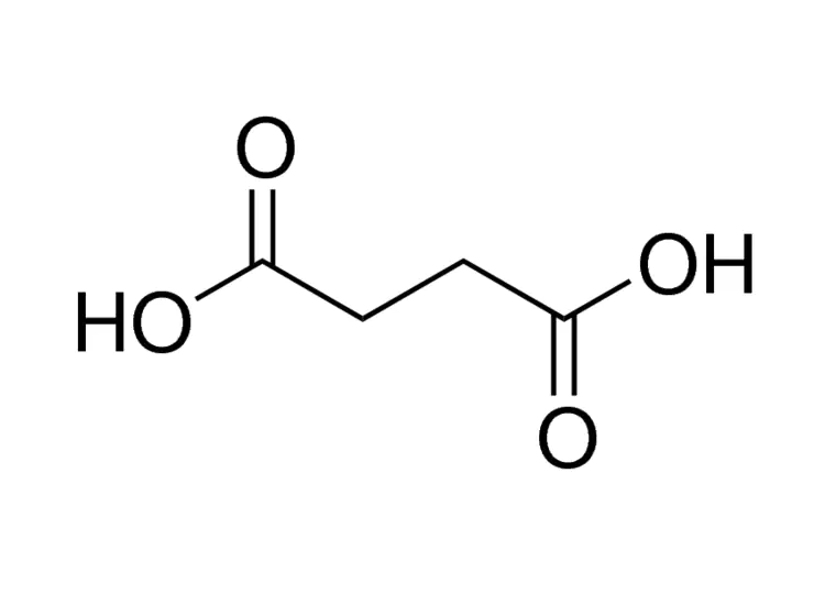 琥珀酸(丁二酸)