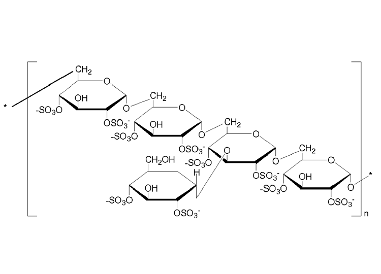 硫酸葡聚糖鈉 500,000(DSS) 硫酸葡聚糖鈉 500,000(DSS)