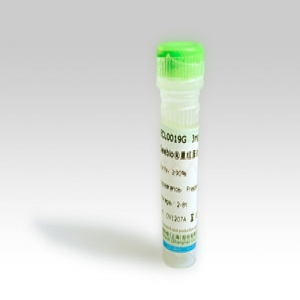 Seebio? 重組蛋白A（rProtein A，ZZZ-HS型）