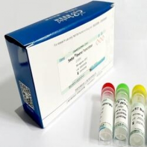 Seebio? sTaq DNA Polymerase (不含dNTP，free Mg2+  Buffer)